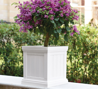 Plant pot